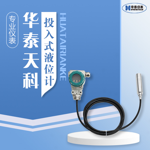 投入式液位計(jì)